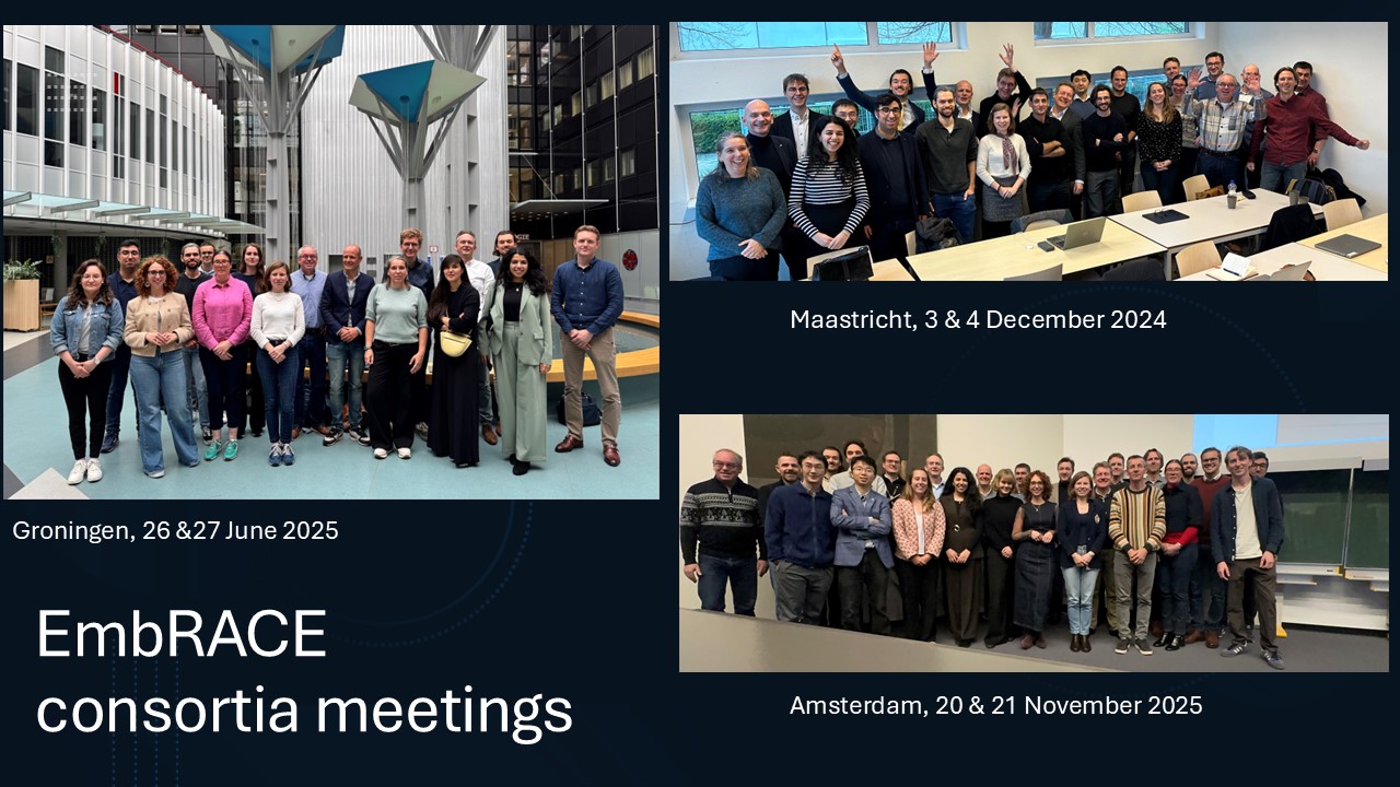 Group pictures EmbRACE meetings